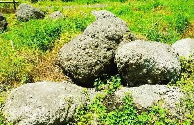 南京六合竹鎮(zhèn)桃花島賞花攻略(地址+花期+交通指南聯(lián)系方式)