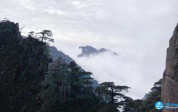 黃山霧凇觀賞時間 黃山霧凇持續多久