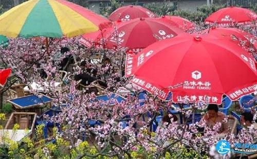 2018简阳桃花节门票价格+时间+地点