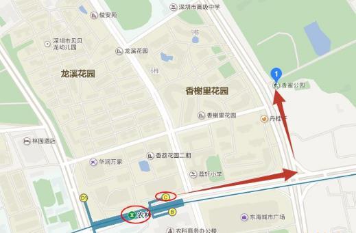 深圳最美婚姻登记处在哪里怎么去坐什么车