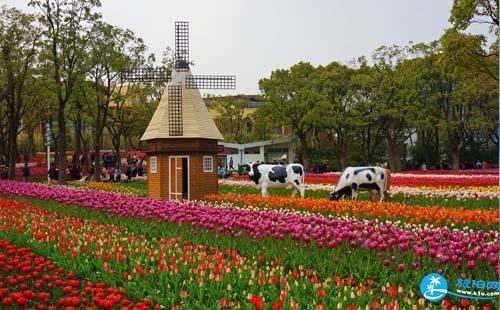 2018大寧靈石公園郁金香展時間+門票價格+交通攻略