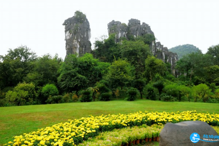 桂林七星公园和象山公园哪个好玩