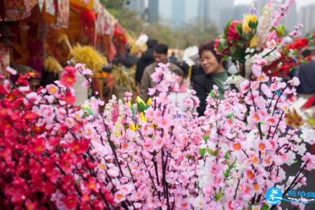 荷兰花卉小镇怎么去 荷兰花卉小镇地铁出口是什么