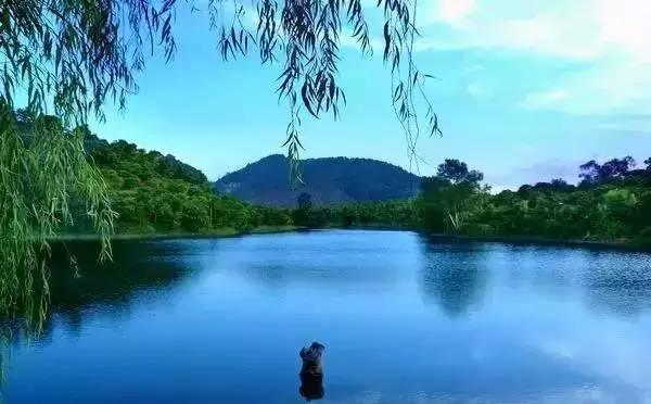 深圳平湖有什么好玩的地方在哪里