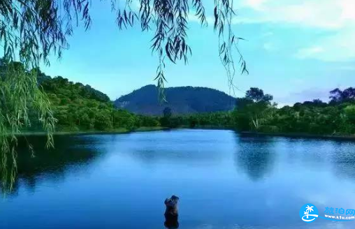深圳平湖景点推荐 深圳平湖有哪些好玩的地方
