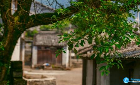楠溪江门票多少钱一张 楠溪江交通攻略2018