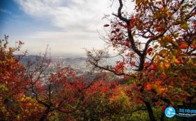 北京香山公园门票多少钱 香山公园在哪停车