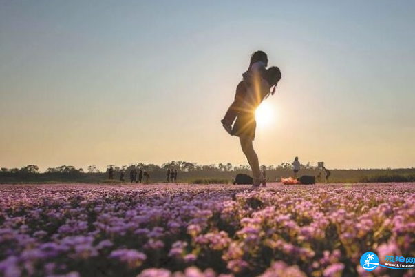 鄱陽湖看花海在哪里 鄱陽湖花海什么時候看