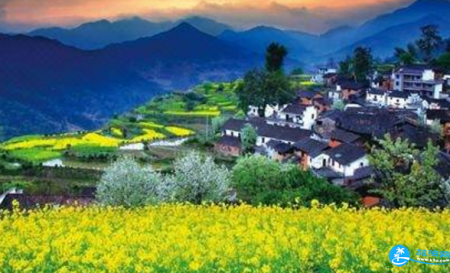2018清明节婺源人多吗 清明节婺源有油菜花吗