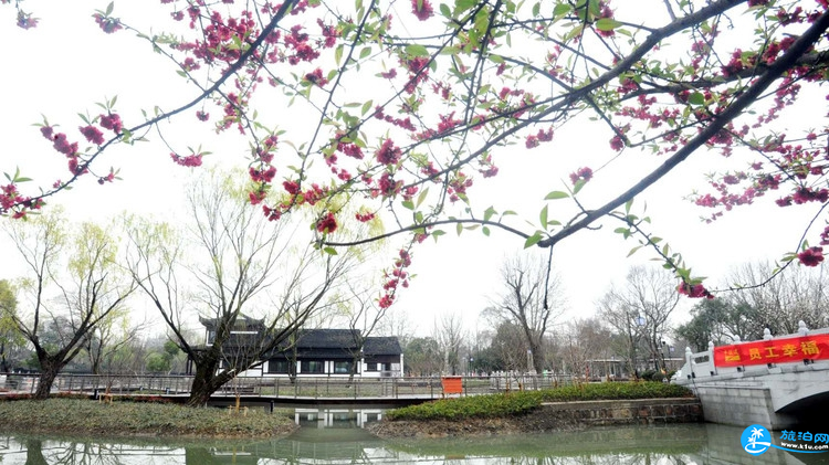 20188蘇州東園體育公園門票+交通+地址+景點