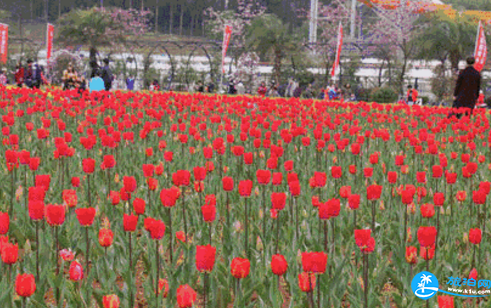 2018湖南省森林植物園怎么去 2018湖南省森林植物園交通攻略