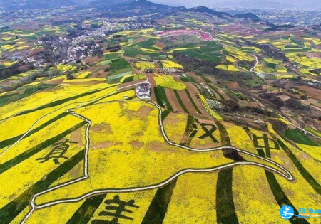 汉中油菜花好看吗 2018汉中春游游记