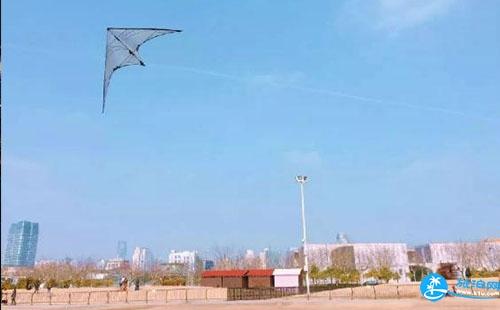 上海可以放风筝的地方有哪些 上海哪里可以放风筝