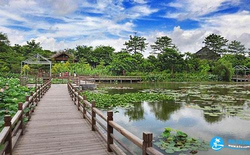 广州南沙湿地公园有什么好吃的 广州南沙湿地公园哪里有好吃的地方