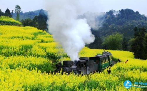 2018嘉陽(yáng)油菜花花期+地址+小火車(chē)時(shí)間表