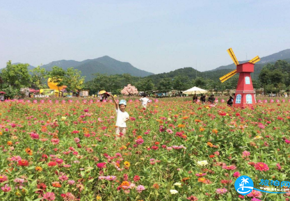 2018佛山盈香生态园门票+交通+游园须知