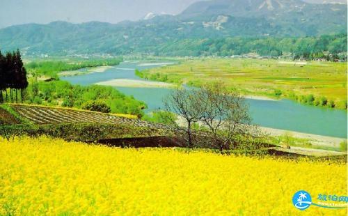 2018阳澄湖油菜花节门票+地址+交通