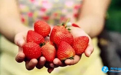 2018福州哪里有摘草莓的地方