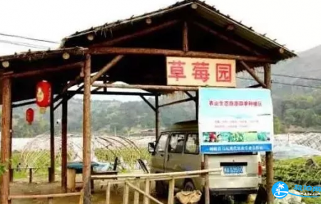 2018福州哪里有摘草莓的地方