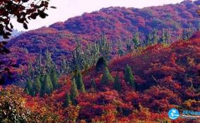 2018北京香山门票+路线+游园须知