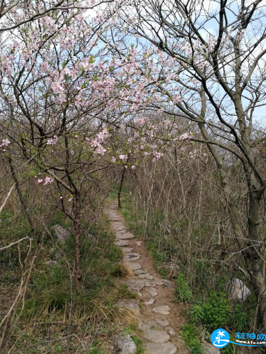 瑯琊山好玩嗎 2018瑯琊山游玩攻略