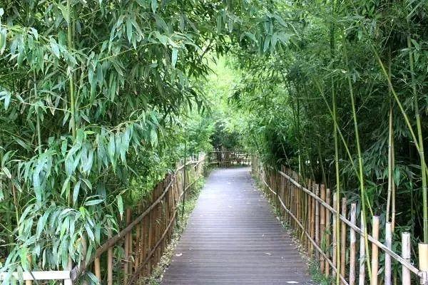 京城迎最佳赏花期 北京有哪些赏花的地方推荐2018