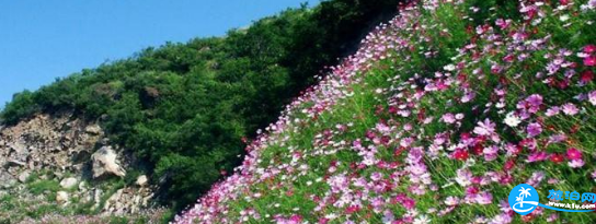 2018北京百花山风景区门票+交通+注意事项