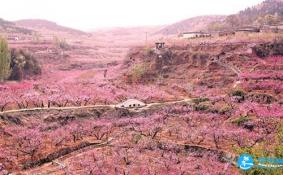 2018湖南桃花源门票+交通