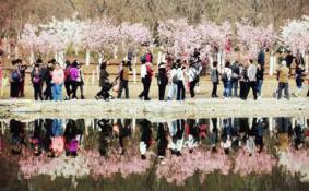 2018北京玉渊潭樱花节门票价格+优惠政策