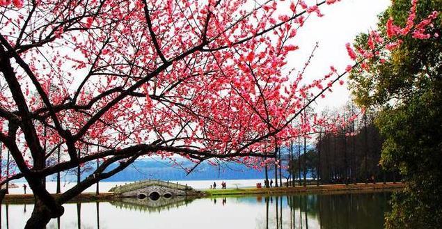 2018年武漢景區(qū)門票價格大全 武漢所有景區(qū)門票一覽