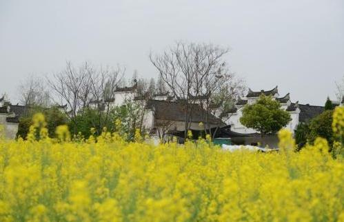 2018年武漢景區(qū)門票價格大全 武漢所有景區(qū)門票一覽