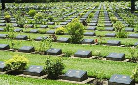 2018武汉哪些公墓推行免费生态葬