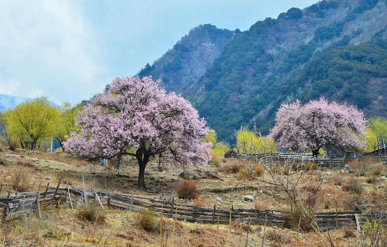 國內旅游 國內十大最貴門票