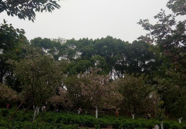 湖南省植物园门票多少钱2018+学生票优惠政策