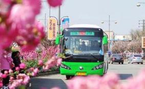 重庆6条都市观光线路载你赏花 开往春天的公交车来了