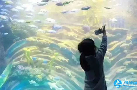 2018重庆幻太奇海洋世界周年庆门票+优惠政策