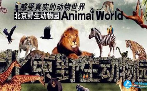 北京野生动物园怎么去 北京野生动物园游玩攻略