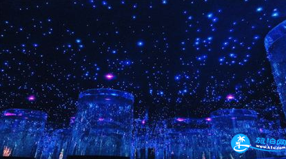 西安幻太奇海洋館門票多少錢 西安幻太奇海洋館怎么去