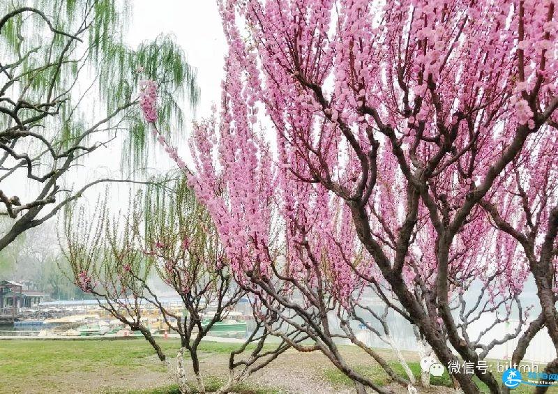 2018北京龍潭公園門票多少錢+優惠政策