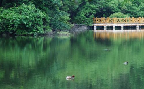 大洪山风景名胜区门票2018+优惠政策