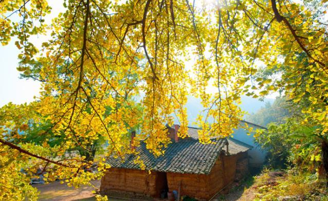 大洪山风景区电话 随州大洪山风景名胜区电话