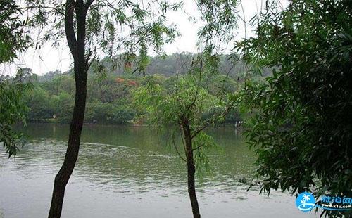 深圳水山公園附近有地鐵站嗎 水山公園怎么去