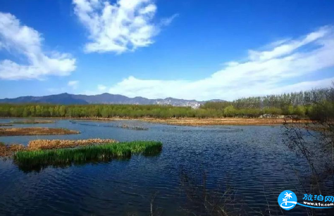 北京翠湖湿地公园门票多少钱+怎么去