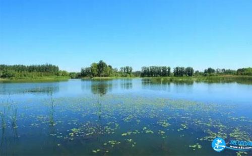 北京翠湖湿地公园里面新增了哪些景点