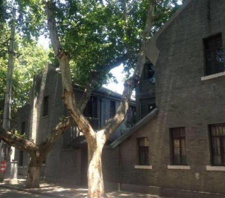 南京冷门好玩的旅游景点推荐