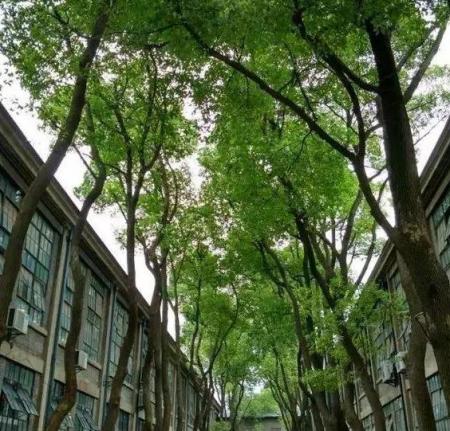 南京冷门好玩的旅游景点推荐
