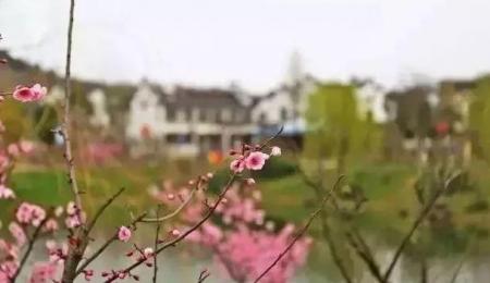 南京冷门好玩的旅游景点推荐