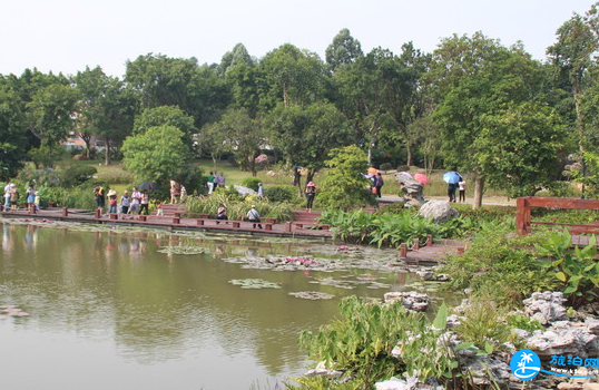 廣州海珠濕地公園五一有什么活動2018