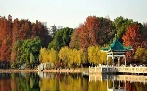 五一假期去武汉周边旅游的景点有哪些