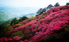 麻城龟峰山游玩攻略 麻城龟峰山风景区旅游攻略